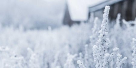 淘宝放单员是做什么的？做这个有何要求？