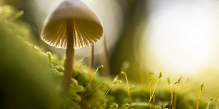 外贸网站推广宣传到底该怎么做？分享六个实用建议