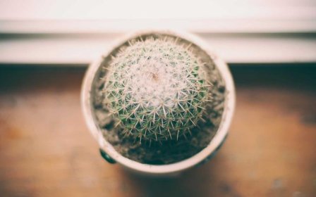 淘宝88VIP可以和双十一折扣叠加使用吗？两者优惠冲突吗？