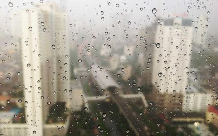淘宝新人购专区在哪？要求是什么？