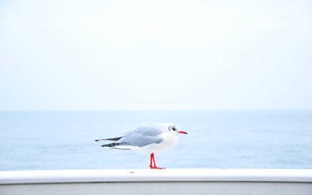 双11大促期间字体侵权如何有效防护？专项规则全解析