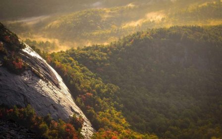 小红书开店怎么续签合同？注意事项有哪些？