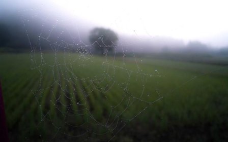 外贸电子商务转化率低怎么办？两个技巧助你显著提升