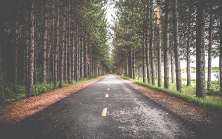 淘宝活动图制作方法是什么？要注意什么？
