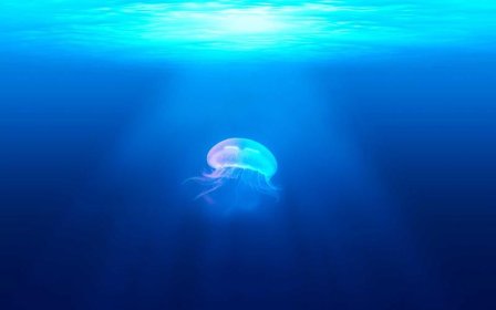 淘宝退货退款流程是什么？淘宝如何退货退款流程示意图