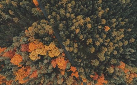 多多买菜不给退款怎么投诉？不给退款怎么解决？