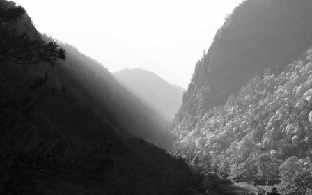 跨境汇款旅游金额有限制吗？个人外汇额度与注意事项详解