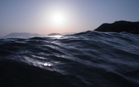 闲鱼买东西付款流程是什么？新手下单付款步骤详解