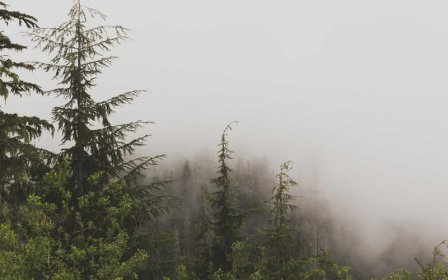 亚马逊广告诊断怎么做？掌握这三个步骤轻松提升广告效果