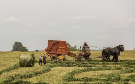 wish退款怎么安全申诉？掌握这些技巧避免账号受损